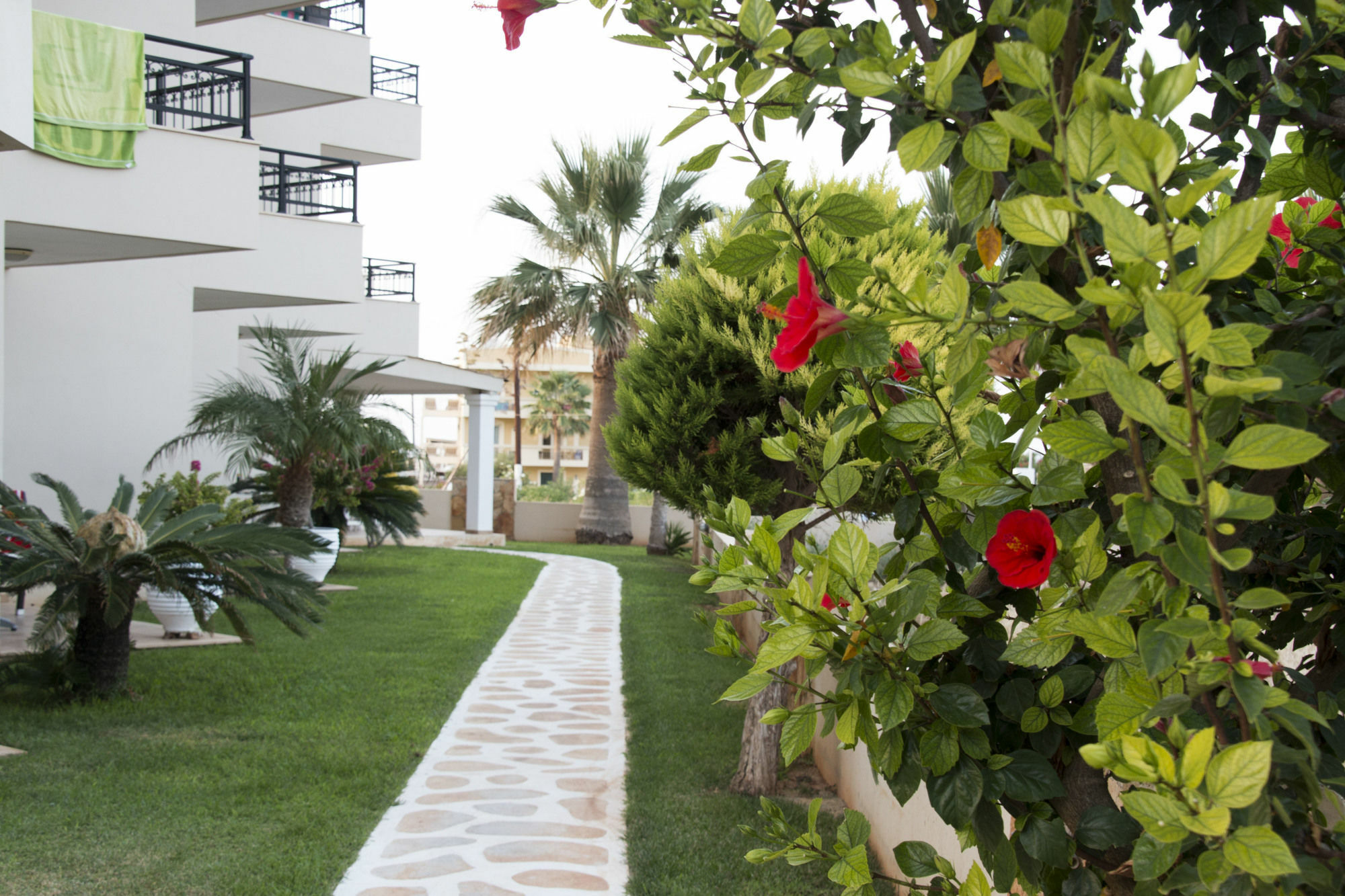 Ammos Boutique Apartments & Suites Malia  Exterior photo